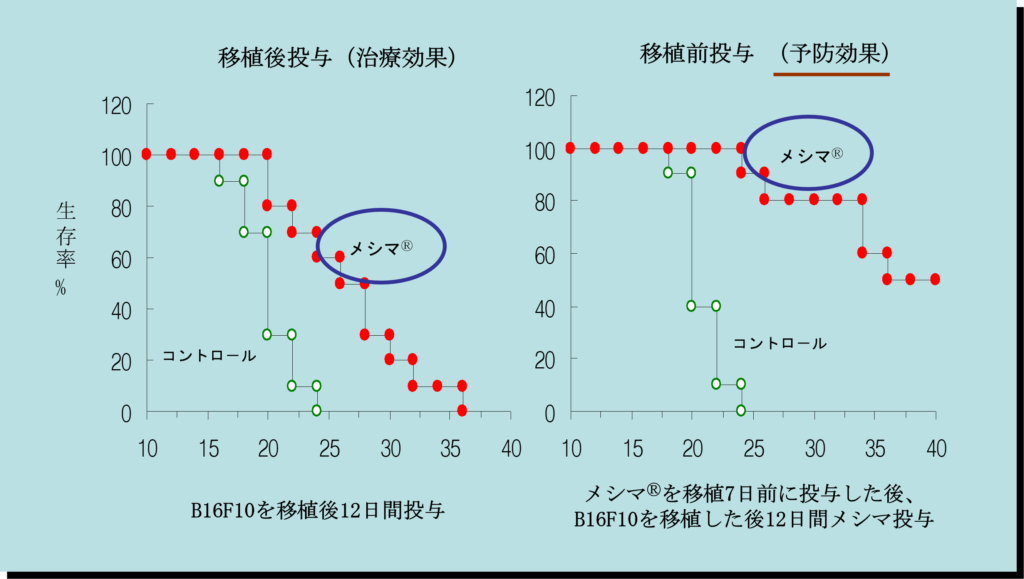 メシマPL2・PL5の延命効果とガン予防効果